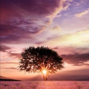 Meet your Posher, Maya